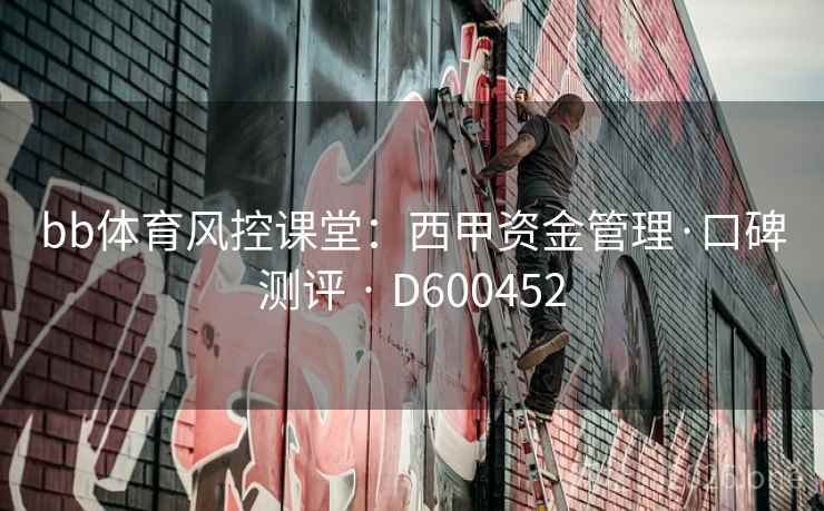 bb体育风控课堂:西甲资金管理·口碑测评 · D600452 第2张 bb体育风控课堂:西甲资金管理·口碑测评 · D600452 第2张