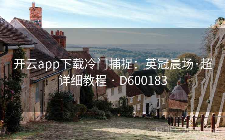 开云app下载冷门捕捉：英冠晨场·超详细教程 · D600183  第2张