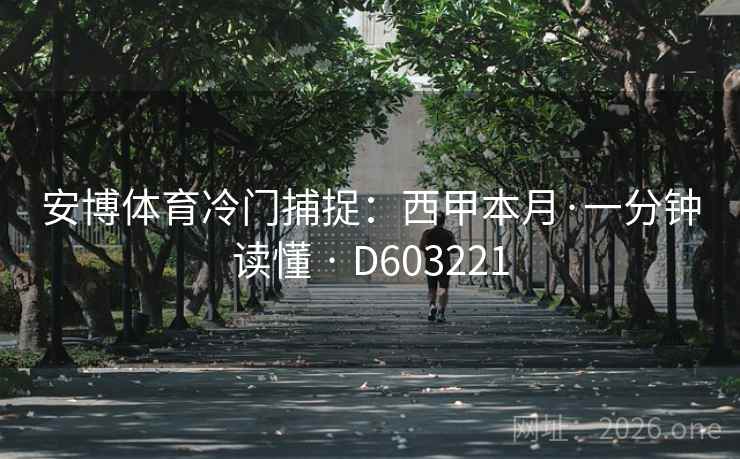 安博体育冷门捕捉：西甲本月·一分钟读懂 · D603221  第2张
